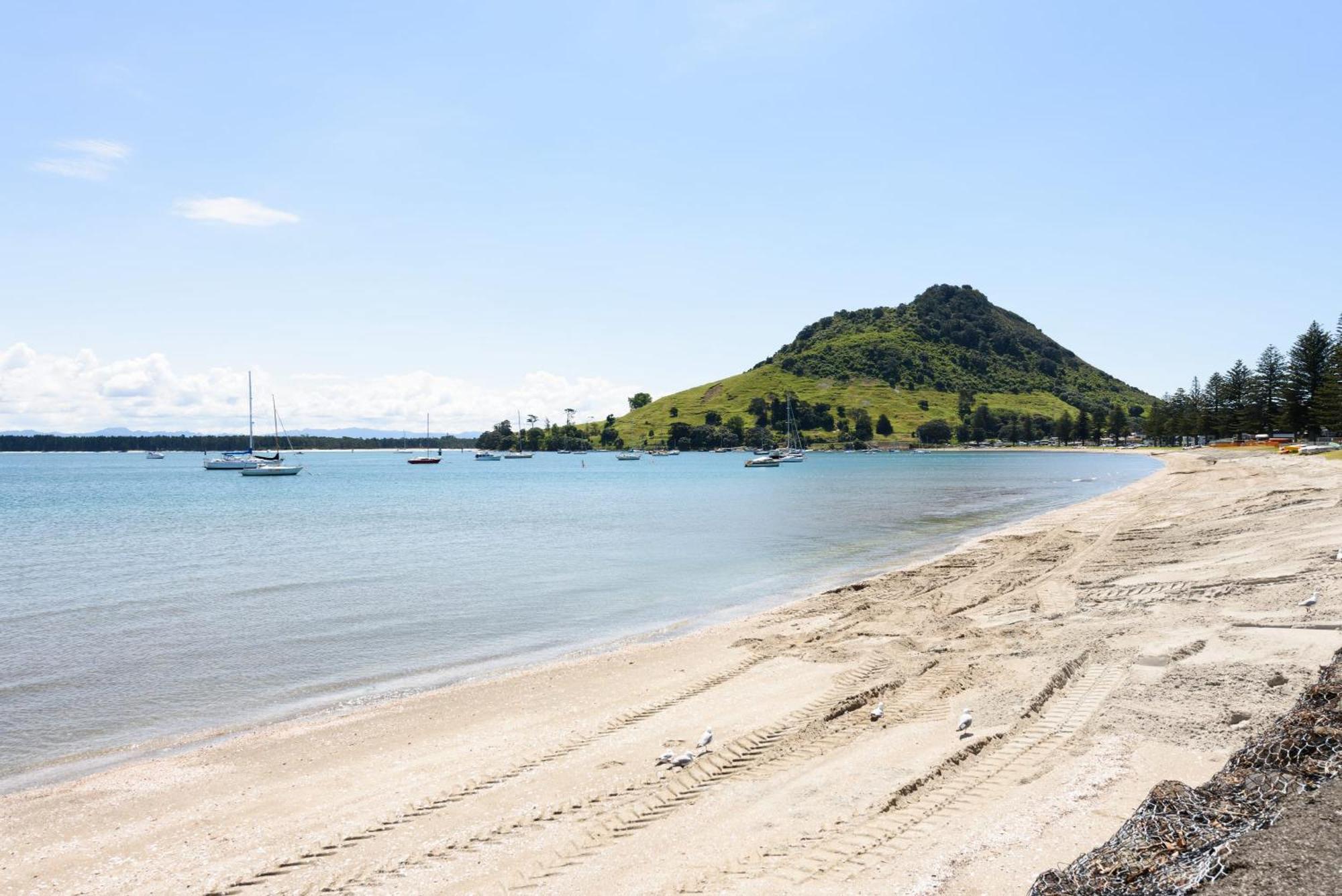 Sunny And Spacious - Moments From The Beach And Downtown 芒格努伊山 外观 照片